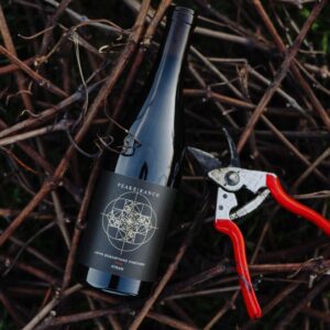 Wine bottle and pruning shears laying on grapevine canes